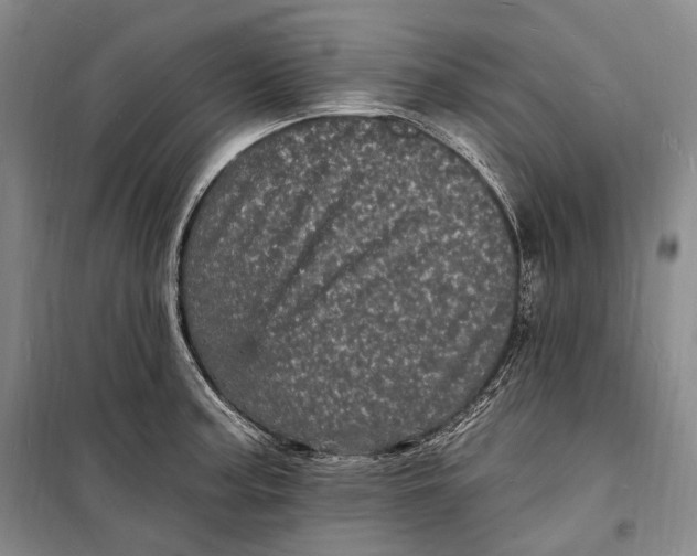 X0000098231187200805151334