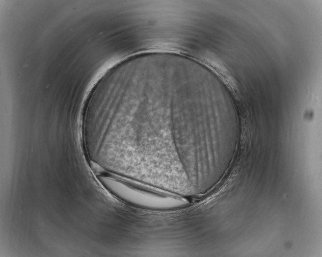 X0000098231188200805151334