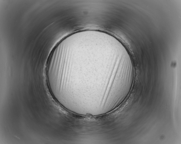 X0000098231190200805151333