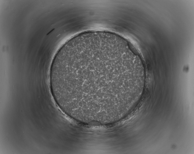 X0000098231191200805151333