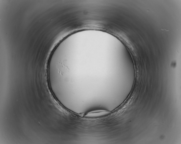 X0000098231192200805151333