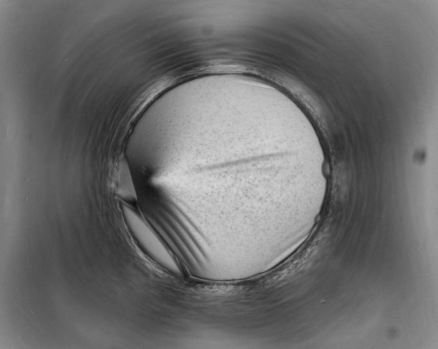 X0000098231193200805151333