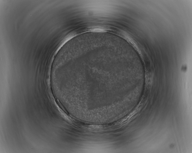 X0000098231194200805151333