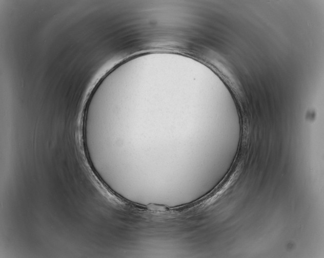 X0000098231196200805151333