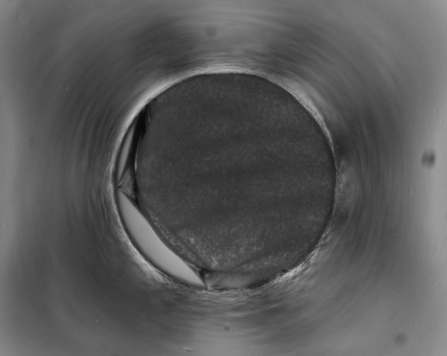 X0000098231197200805151333