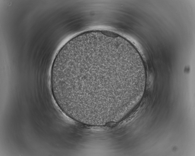 X0000098231199200805151333