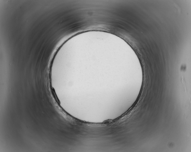 X0000098231200200805151333