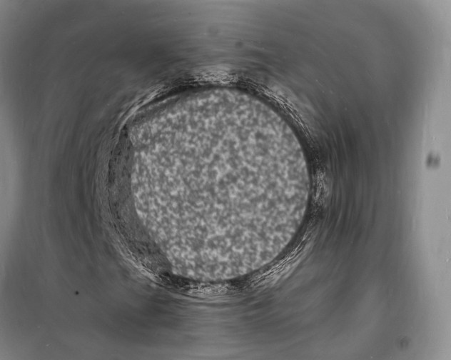 X0000098231201200805151333