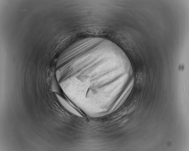 X0000098231202200805151333