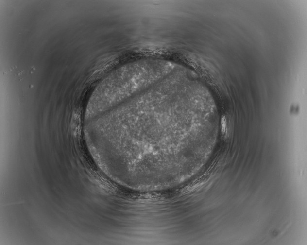 X0000098231203200805151333