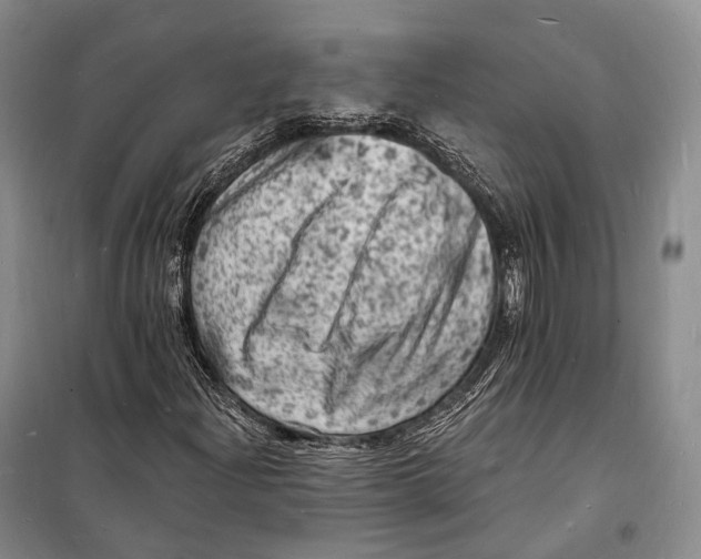 X0000098231204200805151333