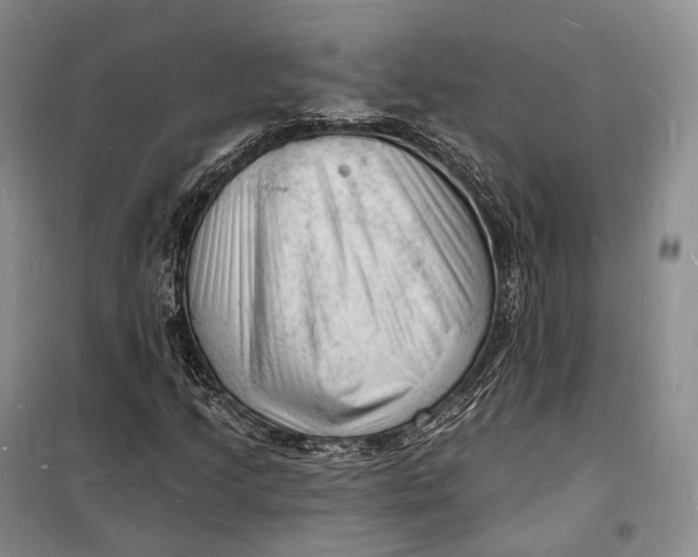 X0000098231205200805151333