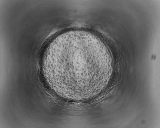 X0000098231206200805151333