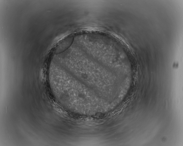 X0000098231207200805151333