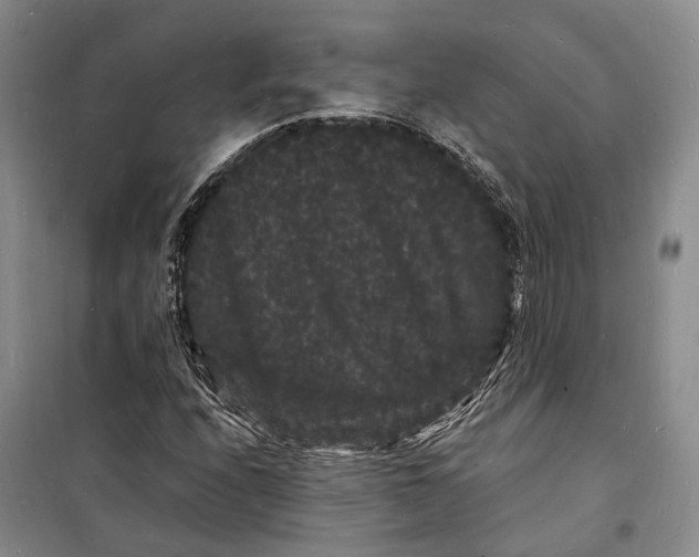 X0000098231208200805151333