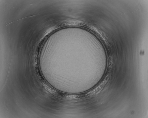 X0000098231211200805151333