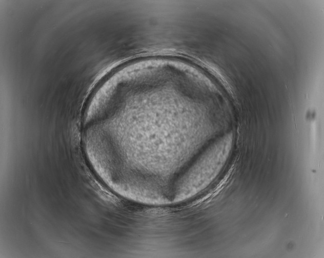 X0000098231212200805151333