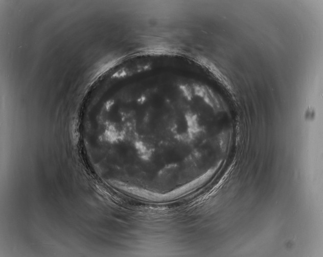 X0000098231213200805151333