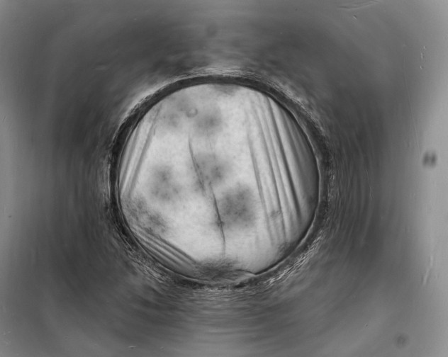 X0000098231214200805151333