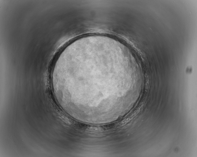 X0000098231215200805151333