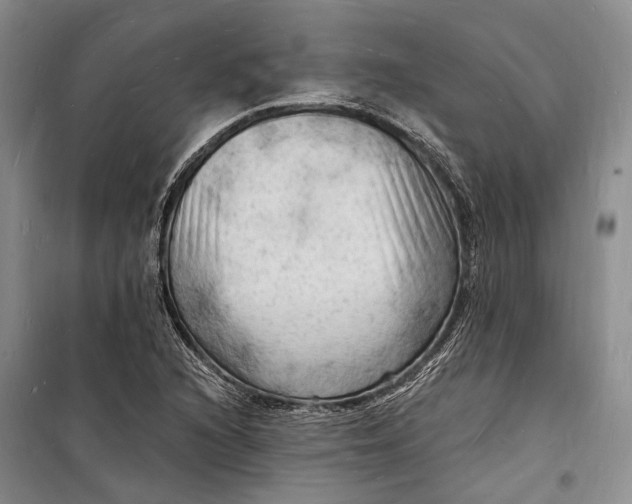 X0000098231216200805151333