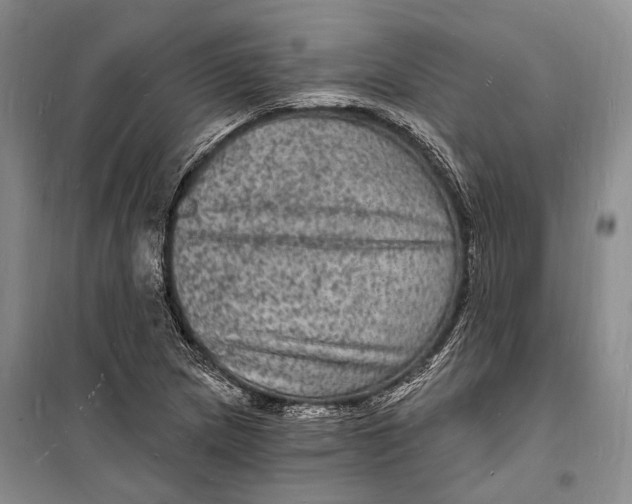 X0000098231217200805151333