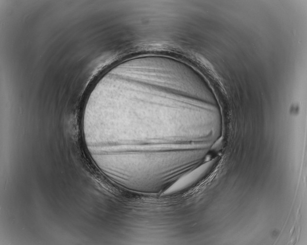 X0000098231218200805151333