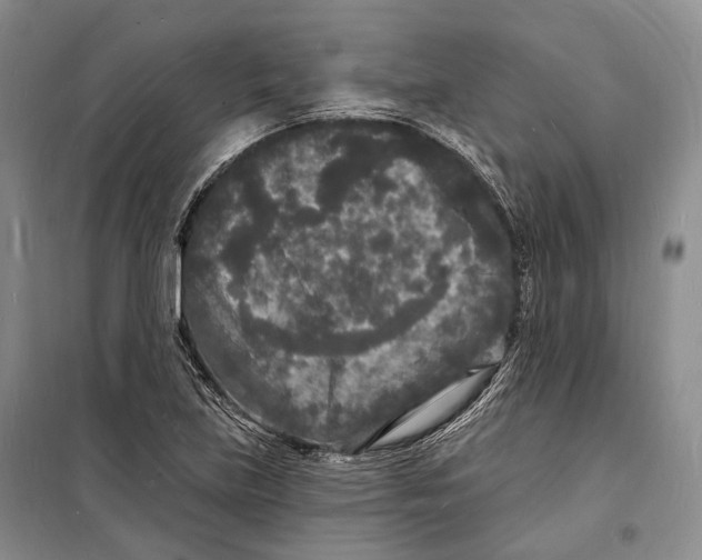 X0000098231219200805151333