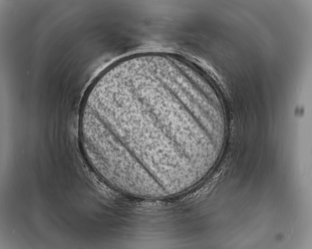 X0000098231220200805151333