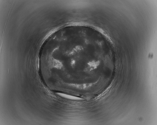 X0000098231221200805151333