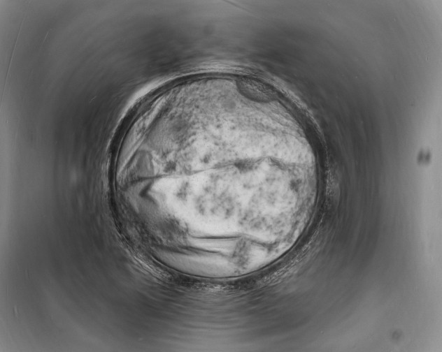 X0000098231222200805151333