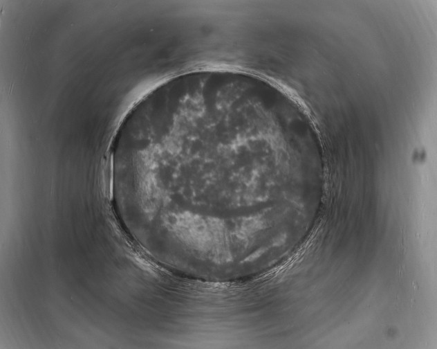 X0000098231223200805151333