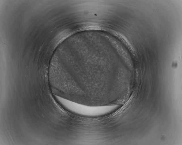 X0000098231225200805151333