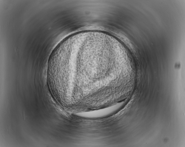 X0000098231228200805151333