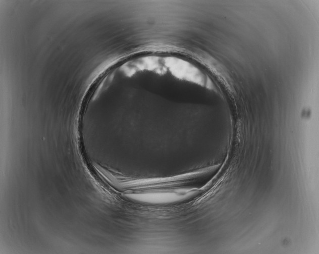 X0000098231229200805151333