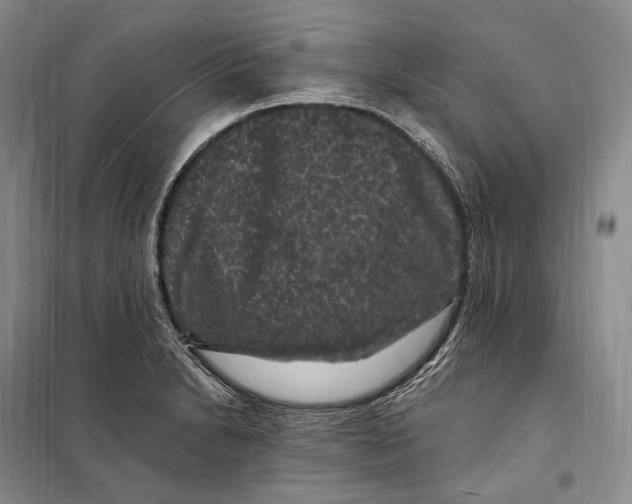 X0000098231230200805151333