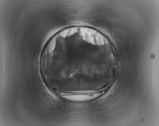 X0000098231231200805151333