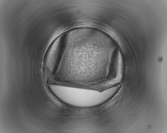 X0000098231234200805151333