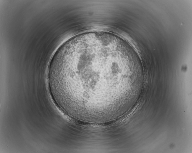 X0000098231235200805151333