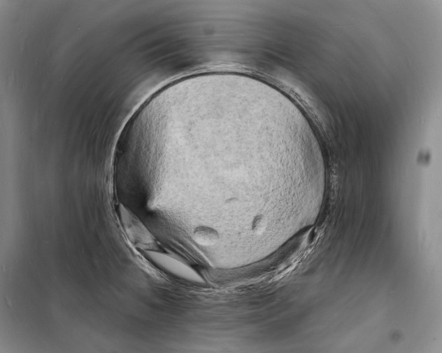 X0000098231236200805151333