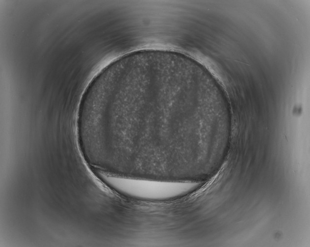 X0000098231237200805151333