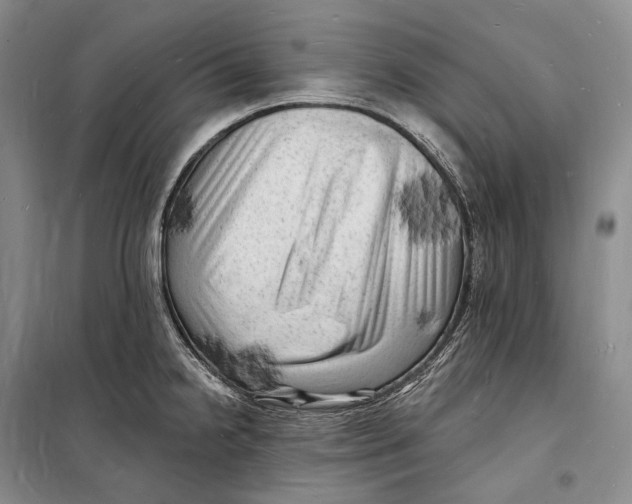 X0000098231238200805151333