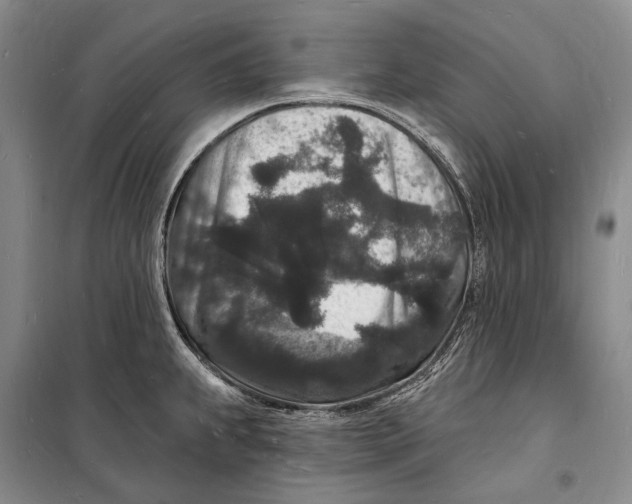 X0000098231239200805151333