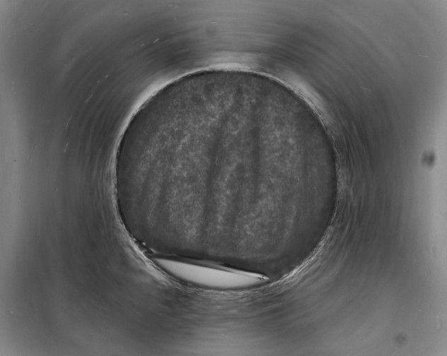 X0000098231240200805151333