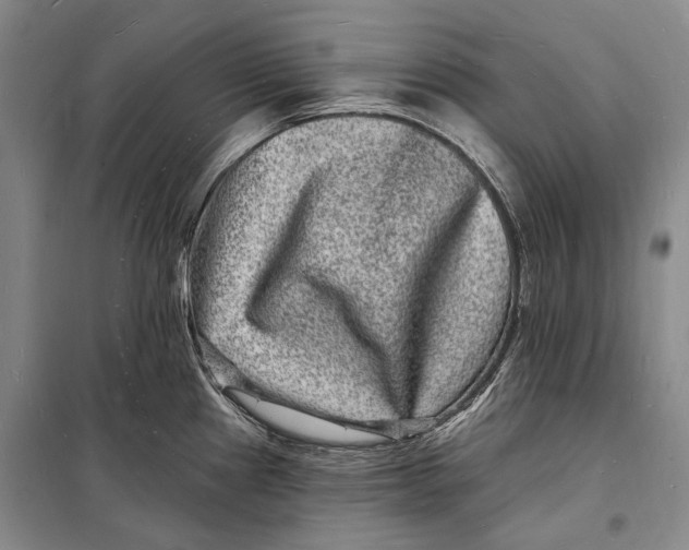 X0000098231241200805151333