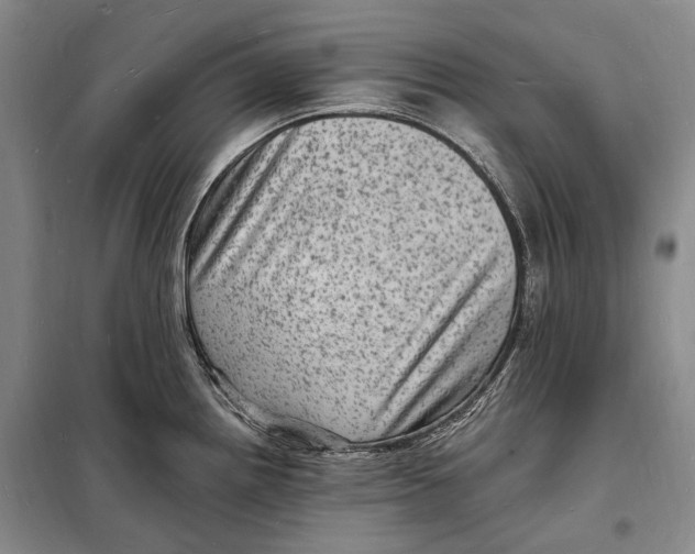 X0000098231242200805151333