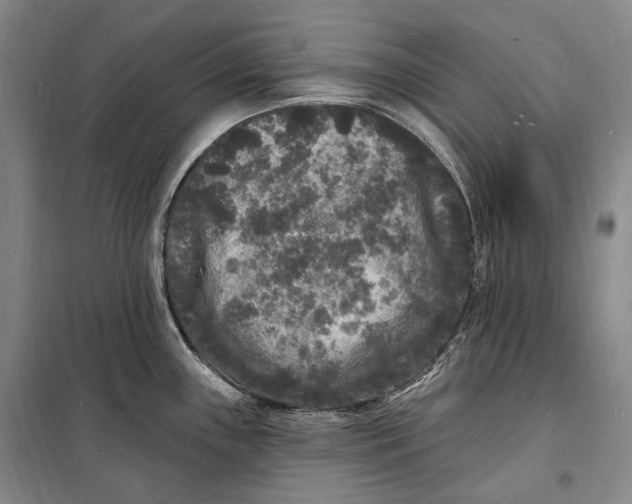 X0000098231243200805151333