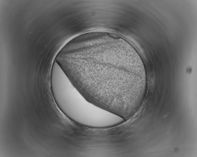 X0000098231244200805151333