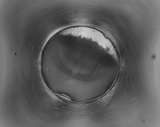 X0000098231246200805151333