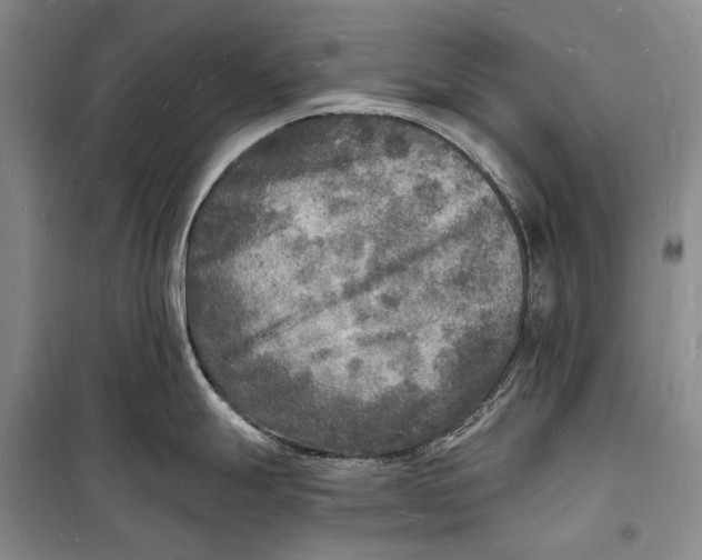 X0000098231247200805151333